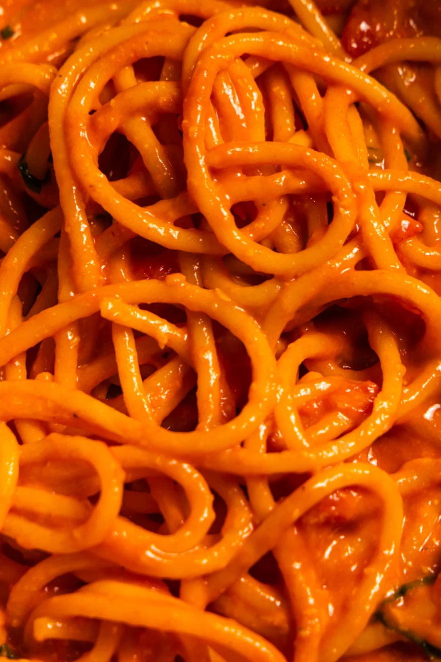 Swirl of spaghetti in tomato sauce seen from above, Fuoco Sacro campaign photographed by Ina Cenusa