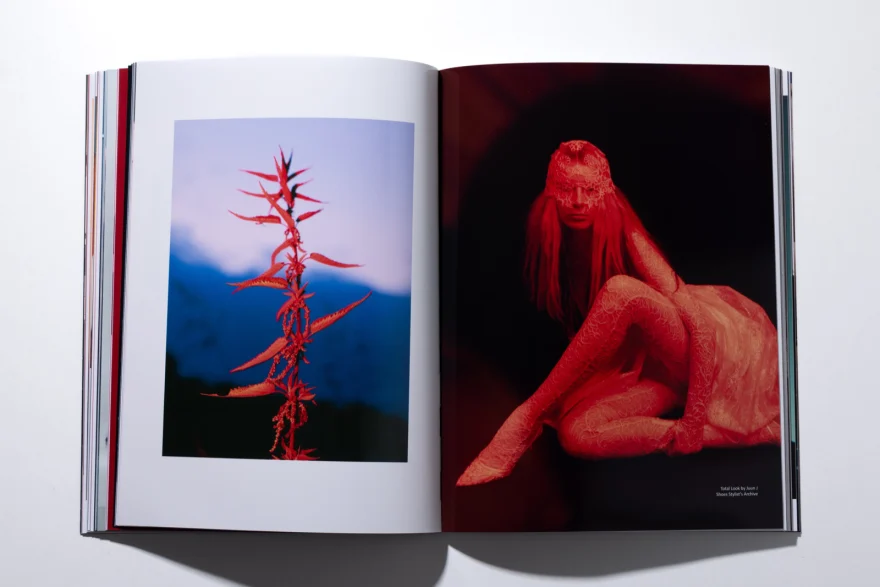 Printed magazine spread pairing the red plant still life with the red lace figure, SHOT Magazine editorial photographed by Ina Cenusa