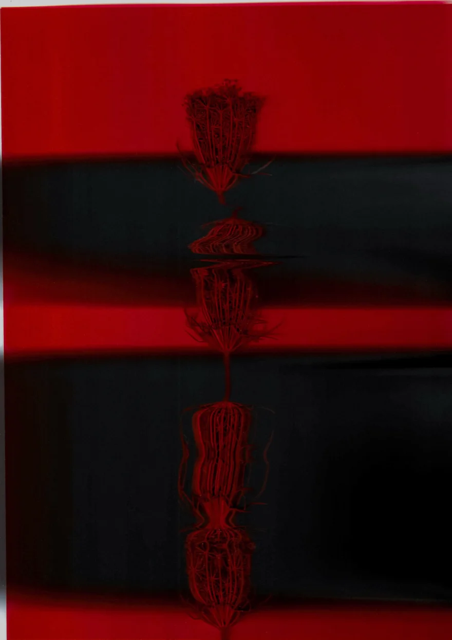 Carved motif repeated in deep red monochrome, abstract still frame, SHOT Magazine editorial photographed by Ina Cenusa